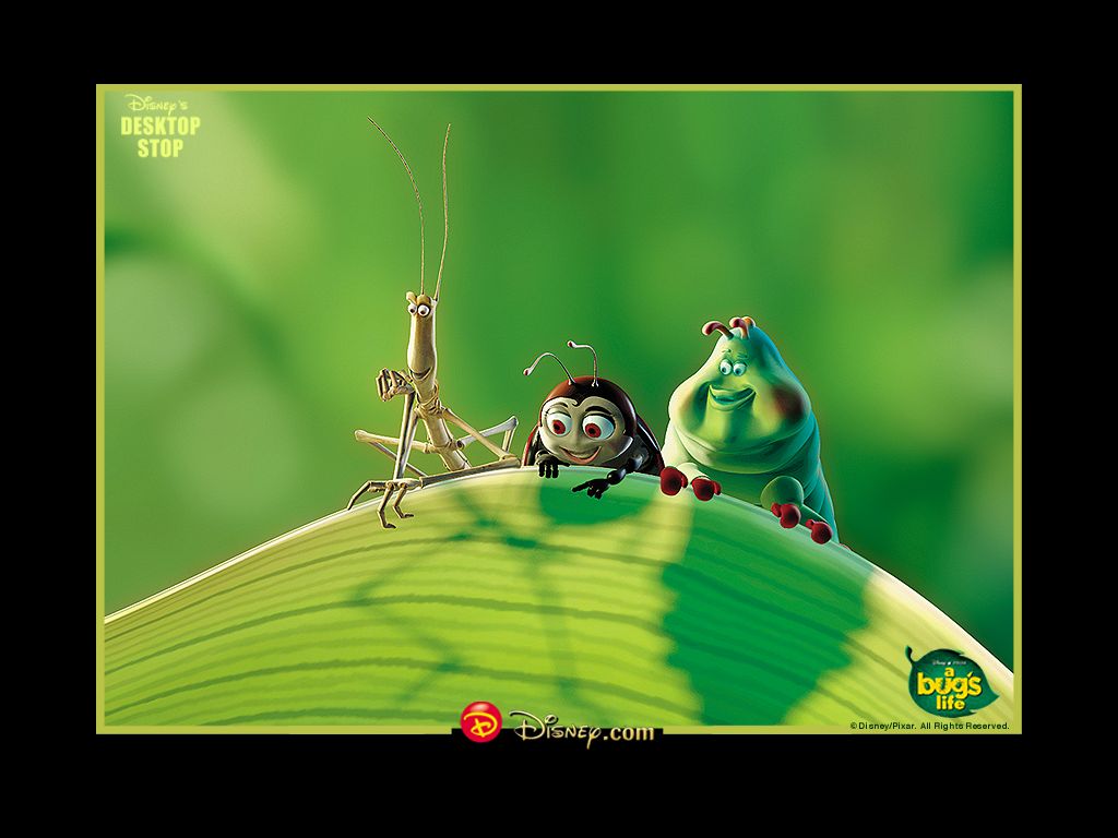 Vida de Insectos 3