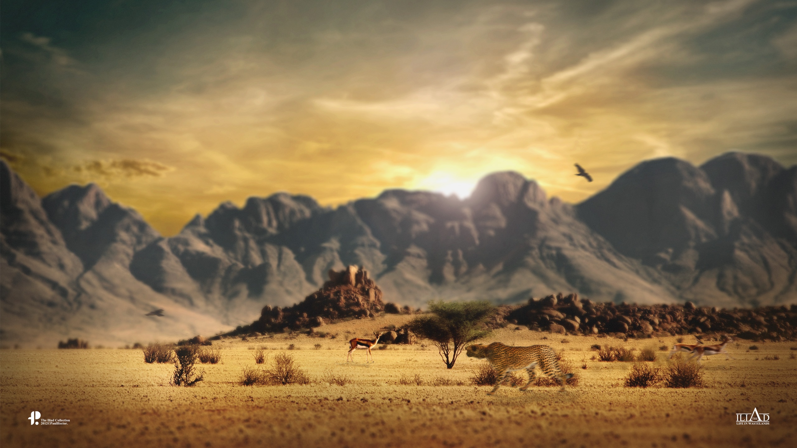 Wildlife